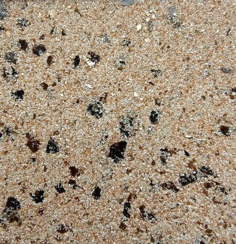 ceresit-visage-ct-710-california-sand.jpeg