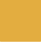amber-beach-ceresit-intense.png