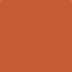 amber-patch-ceresit-intense.png