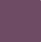 amethyst-ocean-ceresit-intense.png