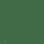 emerald-land-ceresit-intense.png