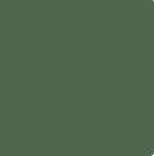 emerald-field-ceresit-intense.png