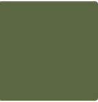 emerald-park-ceresit-intense.png