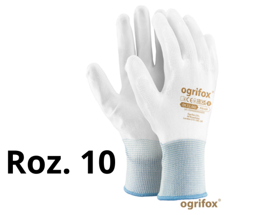 Roz. 8 (2).png