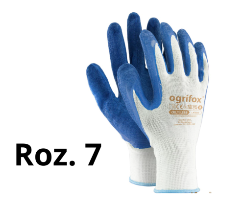 Roz. 8 (5).png
