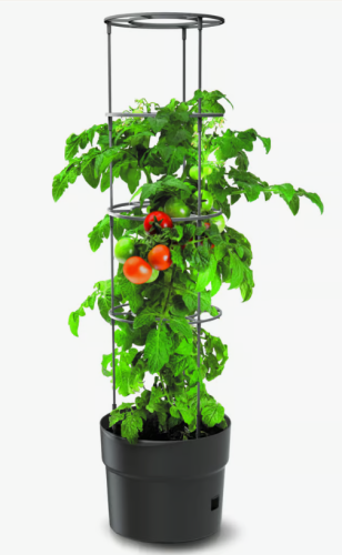 TOMATO-GROWER-DONICZKA-NA-POMIDORY-DUZA.png