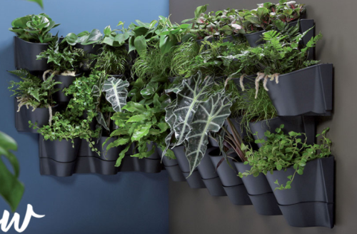 Ogród wertykalny 5.PNG